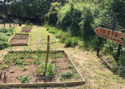 Barne Barton Community Allotments