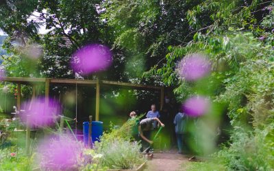 New outdoor classroom built at community allotment